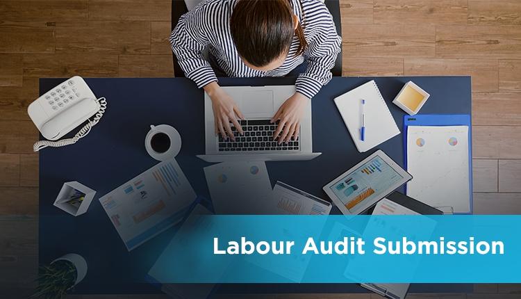 Department of Labour and Occupational Safety has published a notice for Labour Audit Submission