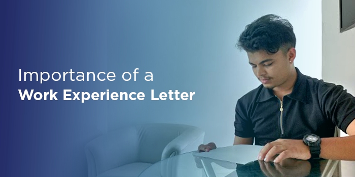 Importance Of A Work Experience Letter - Why Employees Need One