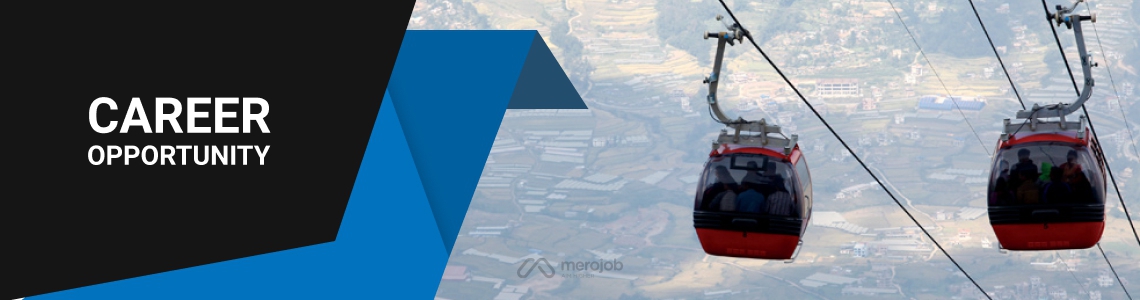 Chief Executive Officer (CEO)