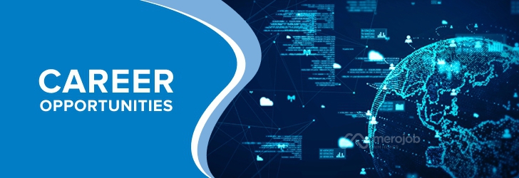 Senior Java Developer