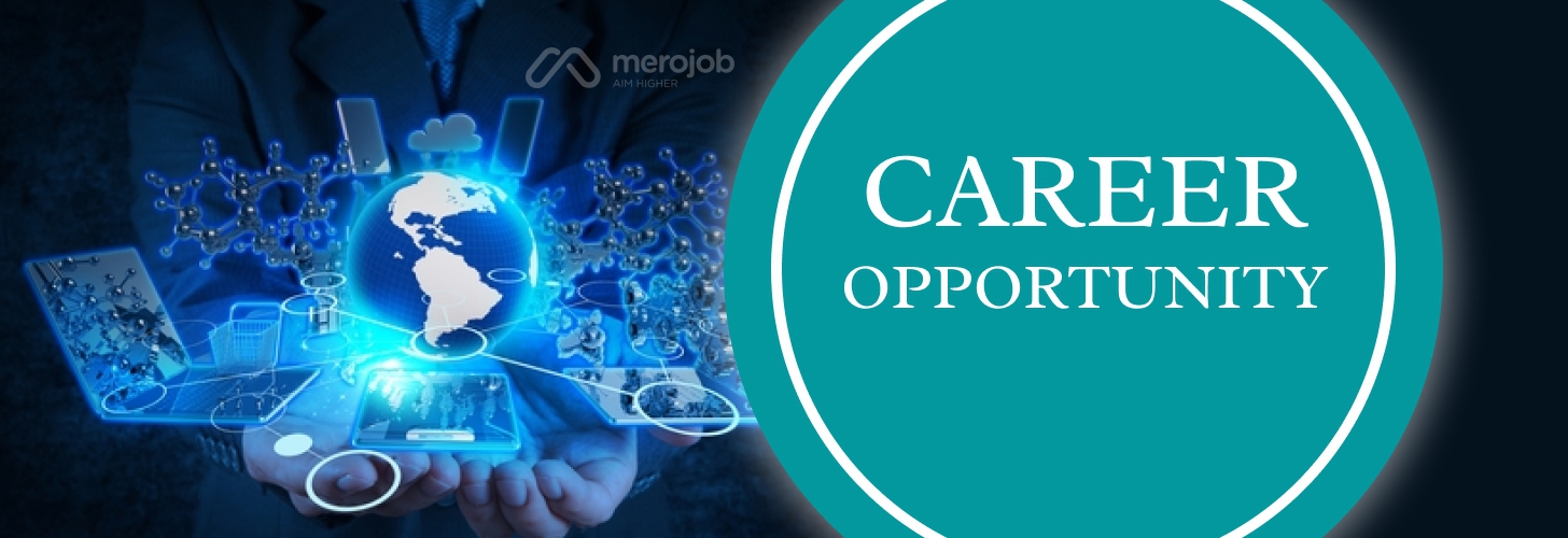 React / Node Developer