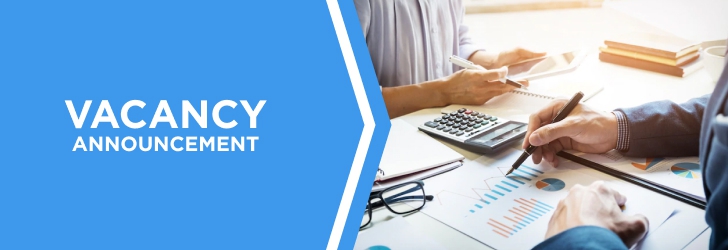 Chartered Accountant