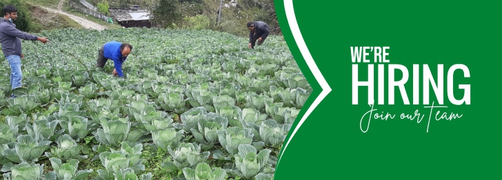 Agricultural Competitiveness and Diversification Director