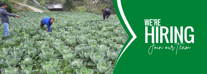 Regional Agribusiness Director