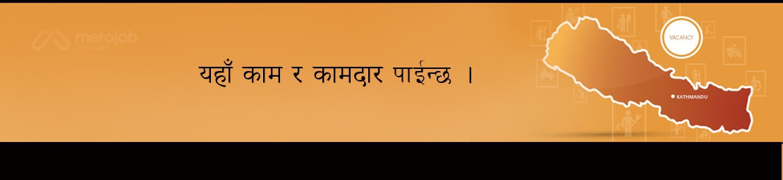 Sales and Marketing Executive