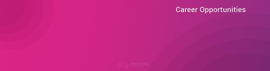 Backend Software Engineer - Web Platform