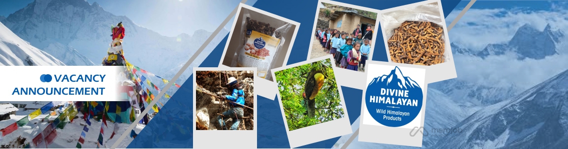 Social Media Executive (Female)