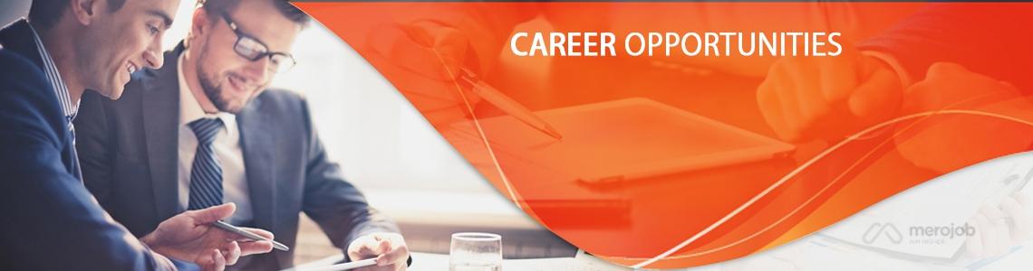 Investment Analyst