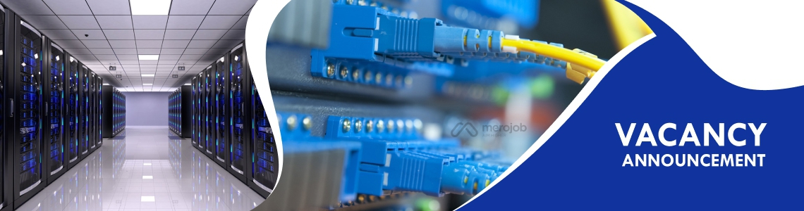 Sales and Marketing Executive