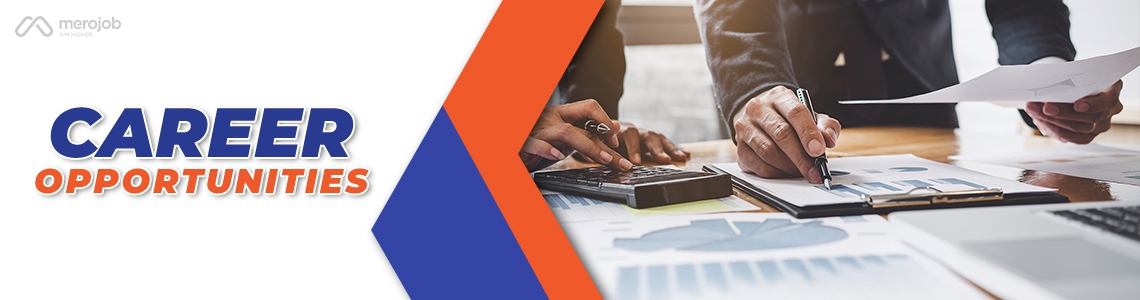 Intern/Junior .Net Developer