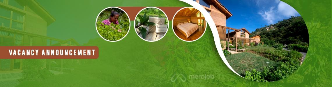 Hospitality Manager