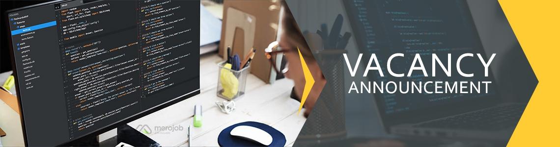 Software Developer (Laravel/Node)