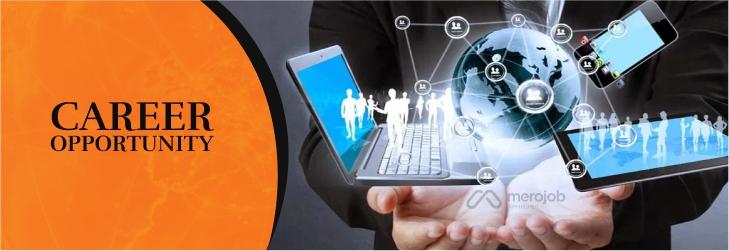 Ful Stack .Net/ React developer