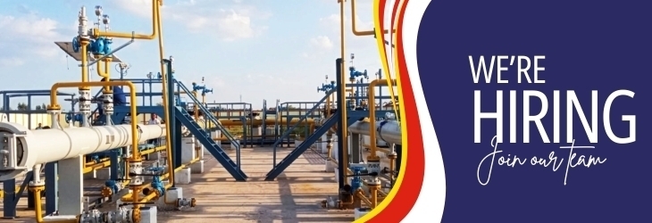 Project / Site Commercial Officer