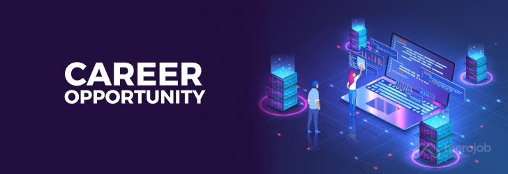 Full Stack Developer