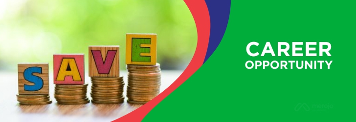 प्रमुख कार्यकारी अधिकृत (CEO)