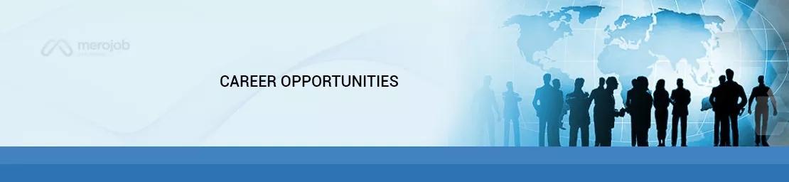 HR Consulting Assistant