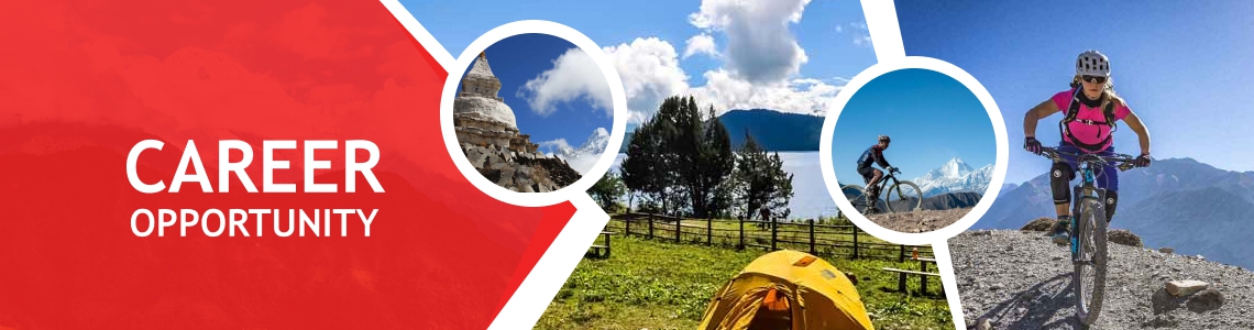 Search Engine Optimization (SEO) Specialist