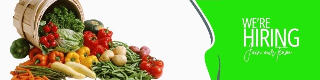 Production Assistant