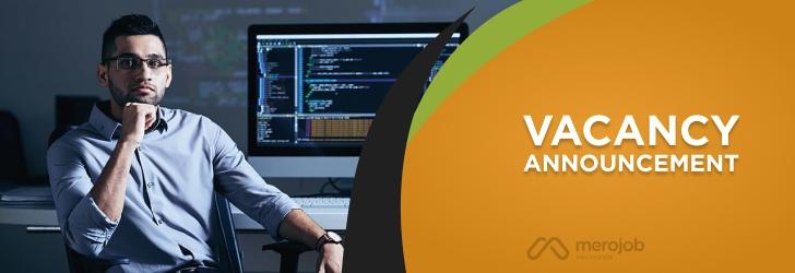 PHP Developer