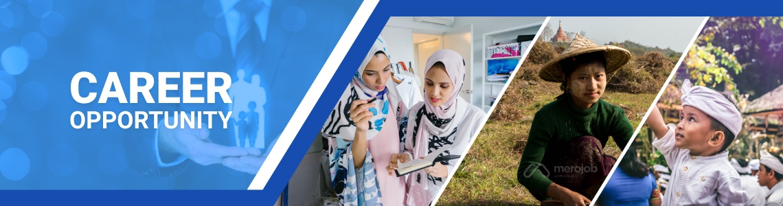 Senior IT Java Developer