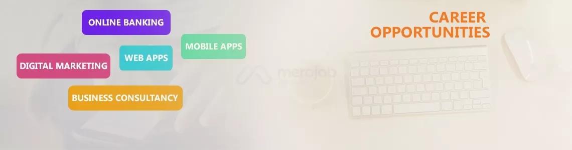 Java Developer (Sr. / Mid / Jr.)