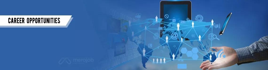 Senior SEO Executive