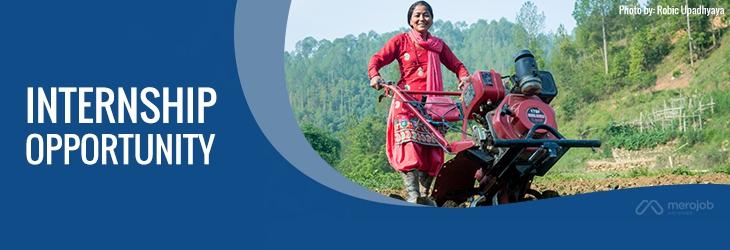 Intern in Gender Equality and Social Inclusion (GESI) Unit