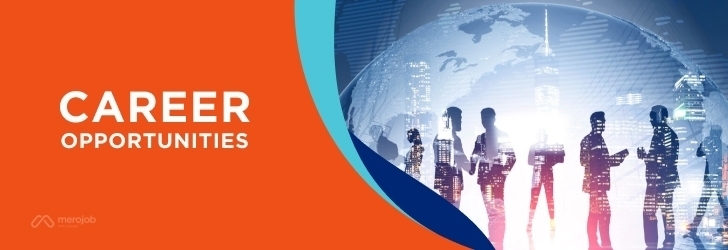 Sales Executive (For UK)