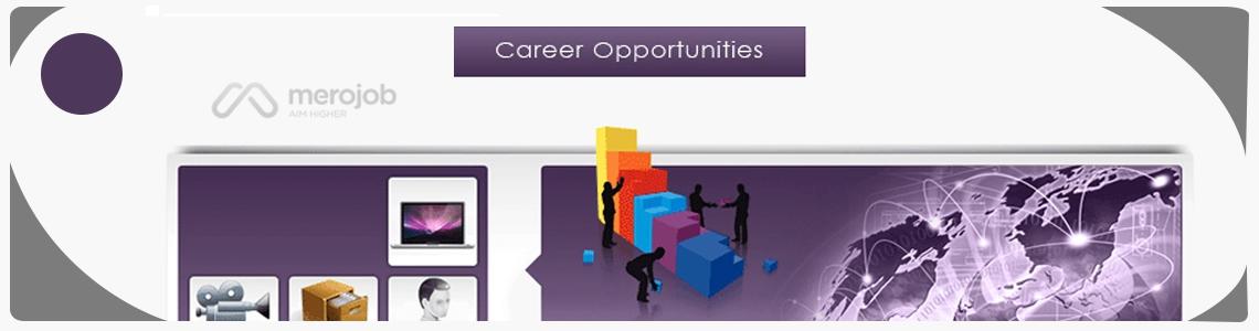 Senior Front End Developer