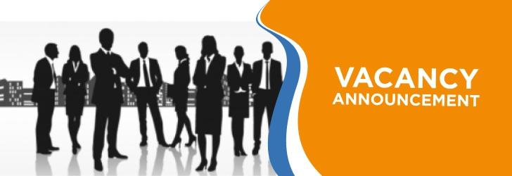 Chief Executive Officer (CEO)