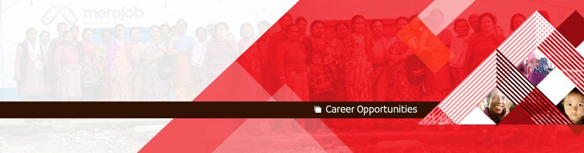Livelihood and Natural Resources Coordinator