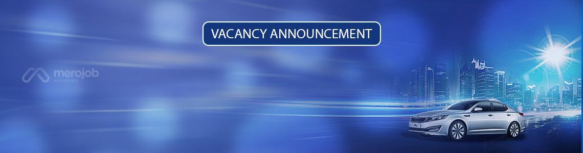 Sales Executive