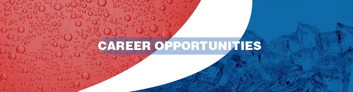Senior Executive- Account