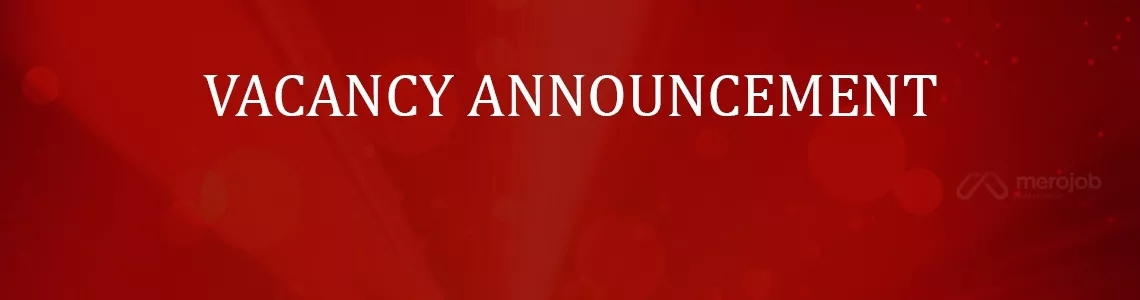 Digitization Partner (DIPA)