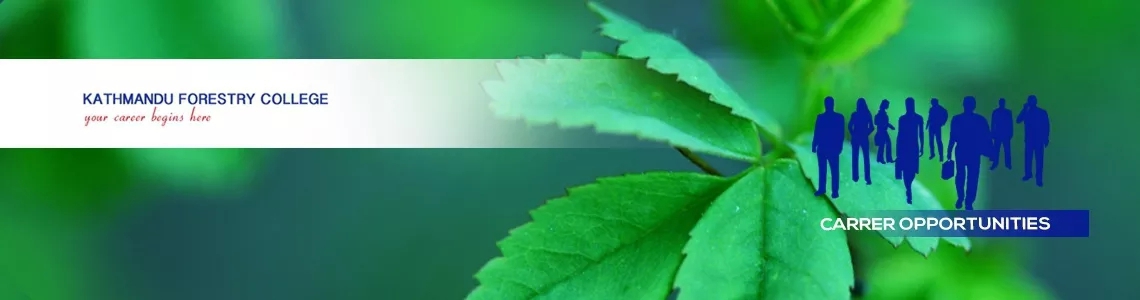 Post Doctoral Research Fellow