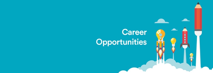 Chief Technical Officer ( CTO )