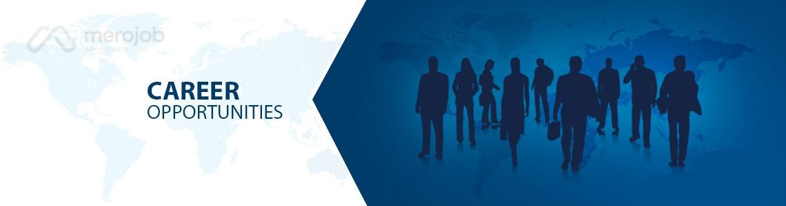 HR Executive