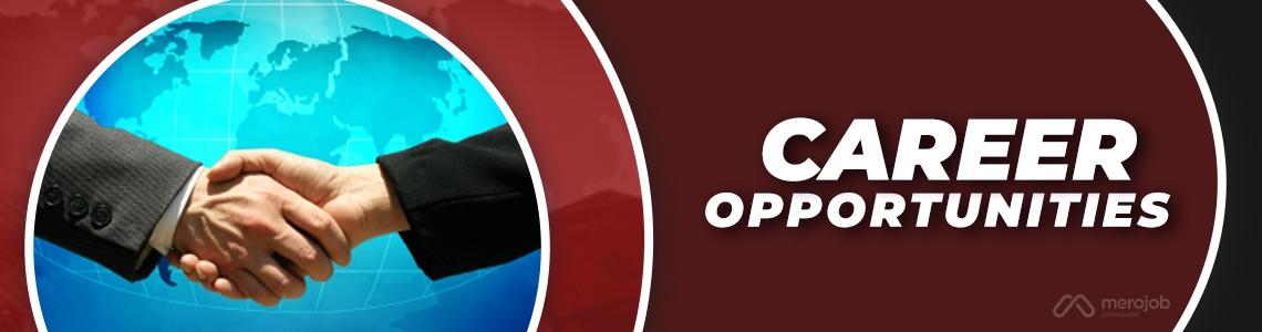 Sales and Marketing Manager