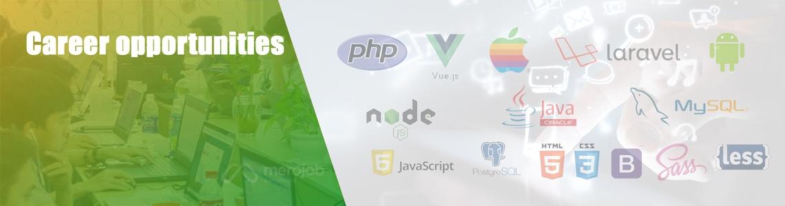 Android Developer