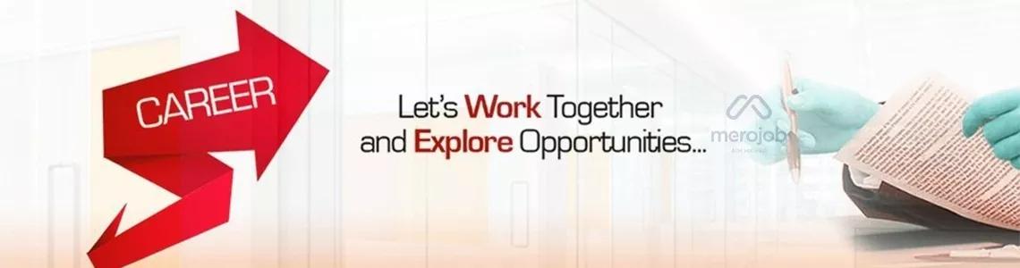 Senior Web Designer