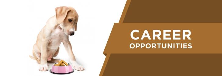 Junior Marketing Officer