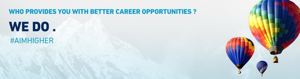 Sales Executive
