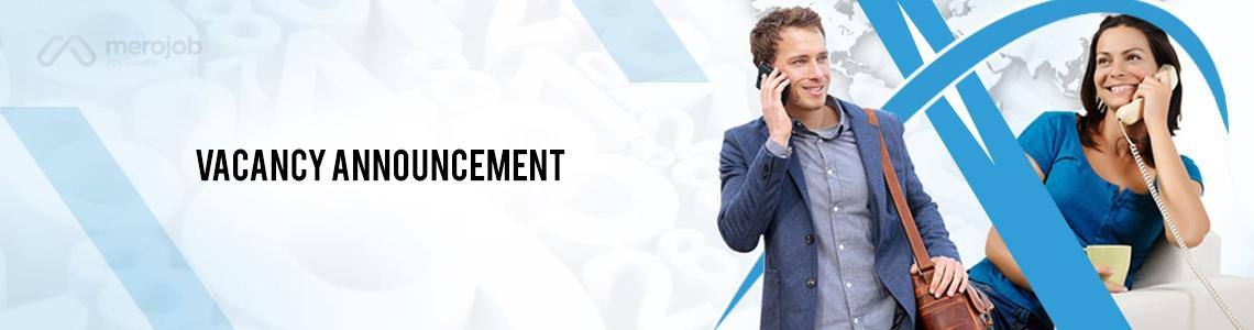 Sales Engineer