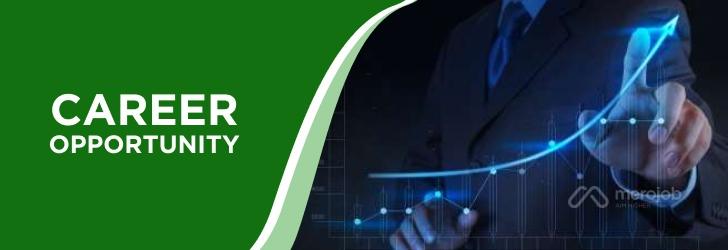 Sales Manager