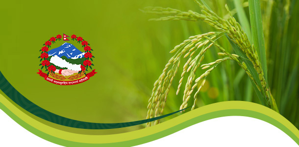 A to Z Job Market Terms