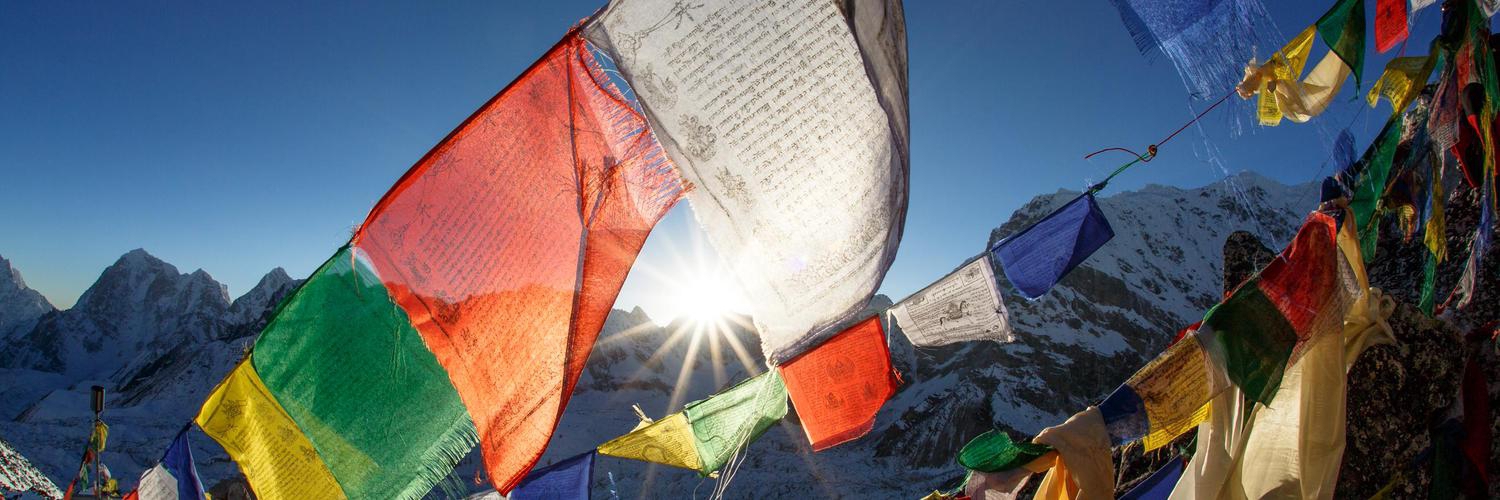 Senior Javascript Developer