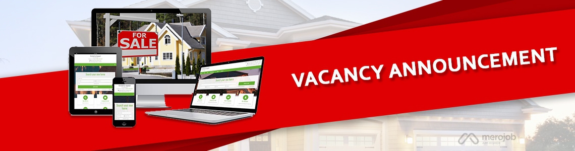 Wordpress Web Designer