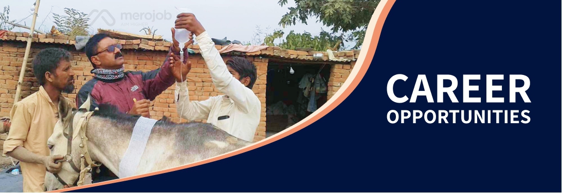 Executive Director (Level 11)