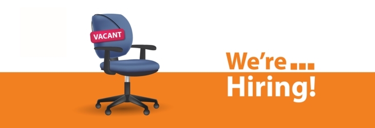 Brand Manager / Brand Strategist